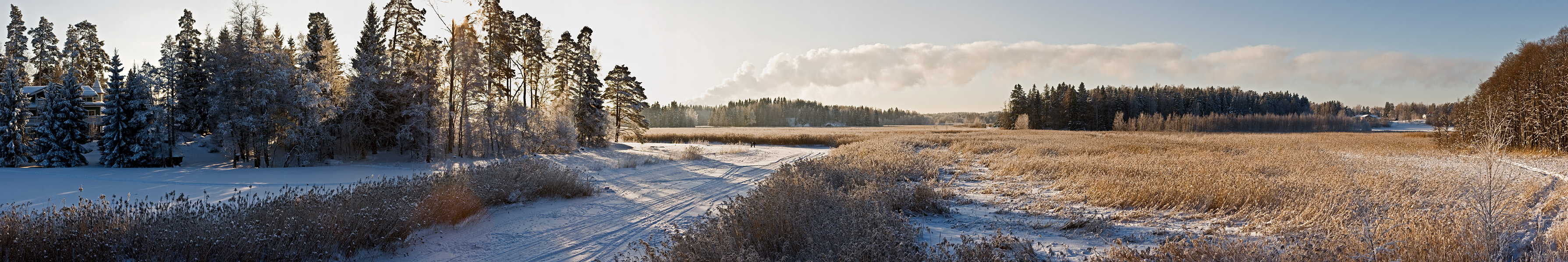 Winter panorama VII