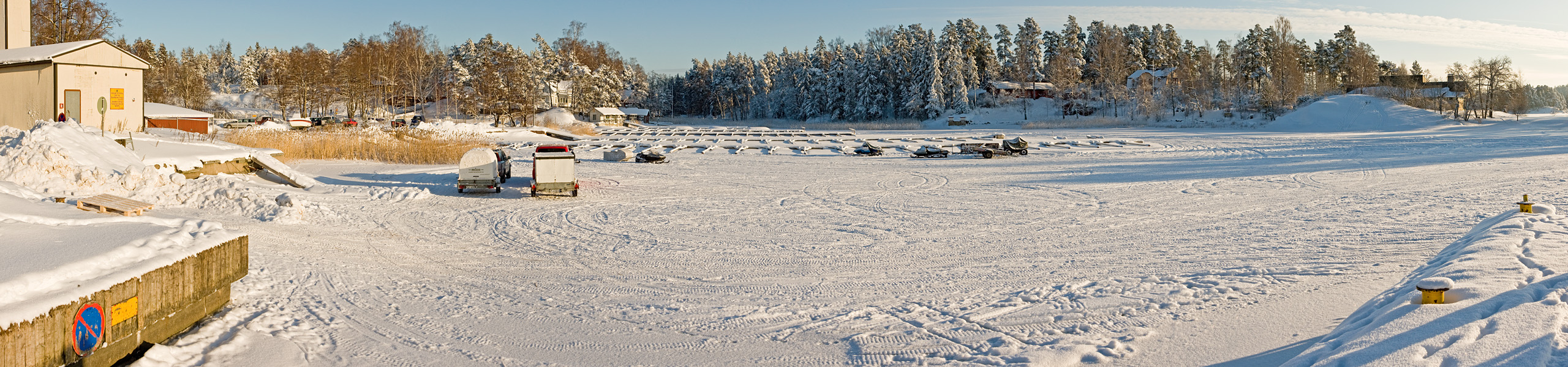 Winter panorama VIII