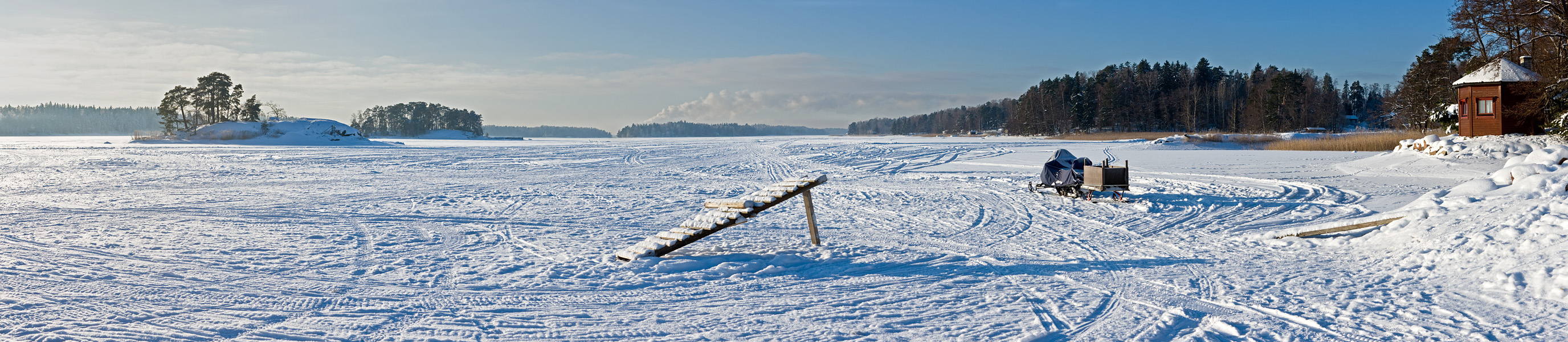 Winter panorama IX