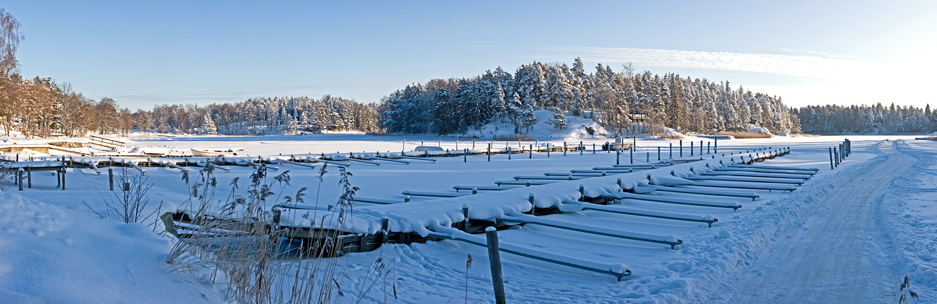 Winter panorama X
