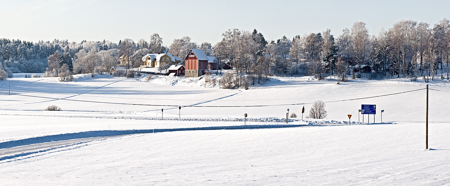 Winter panorama XII