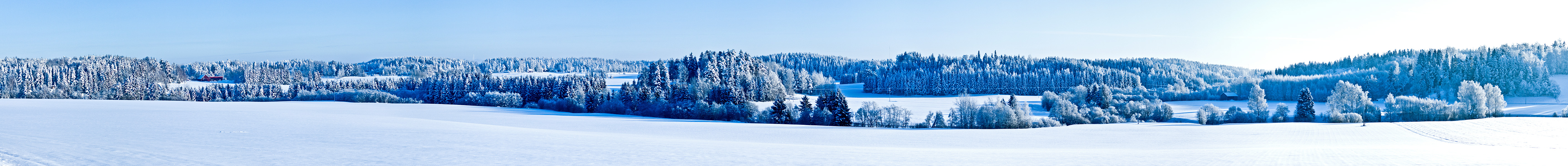 Winter panorama XV