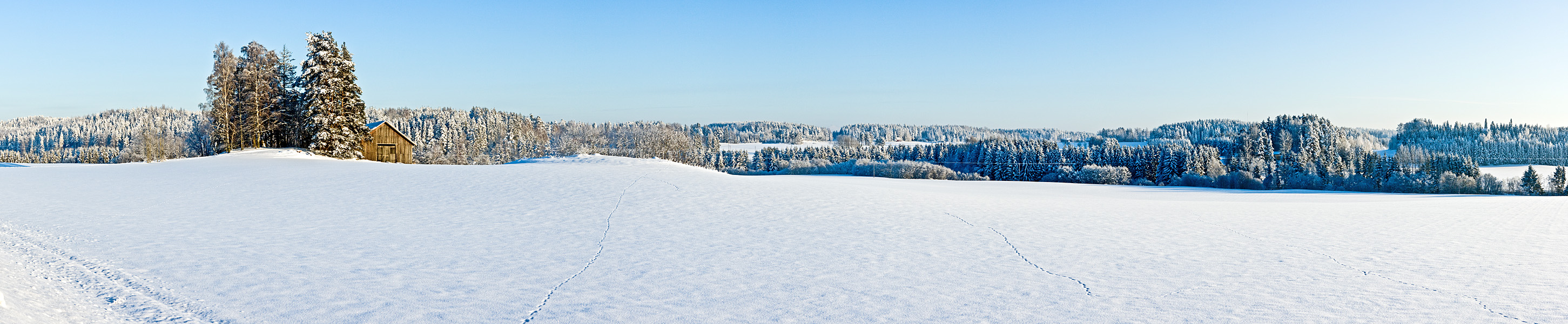 Winter panorama XVI