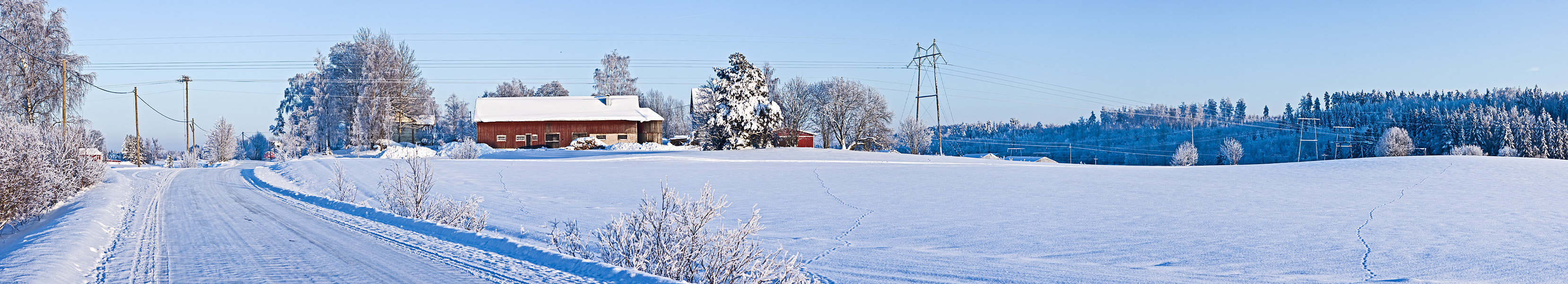 Winter panorama XVII