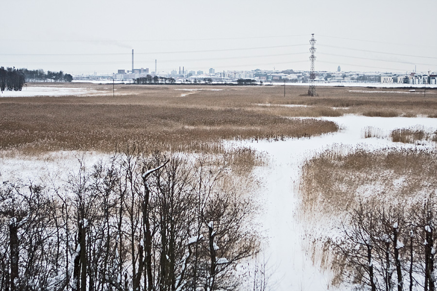 View from a bird tower in Viikki