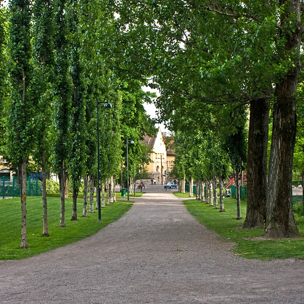 Footpath between Sepp playground and sports field