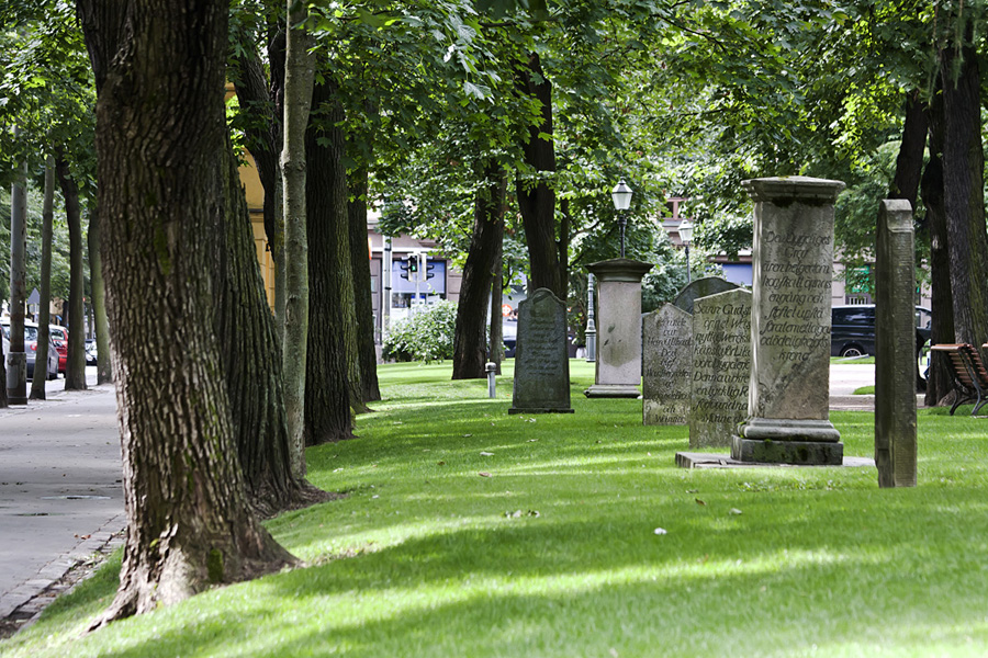 Old church park