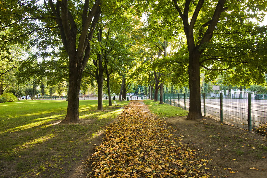 Autumn foliage at Tehtaanpuisto