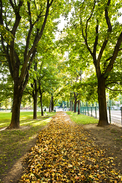 Autumn foliage at Tehtaanpuisto