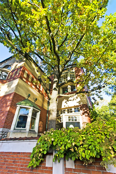 Villa Johanna