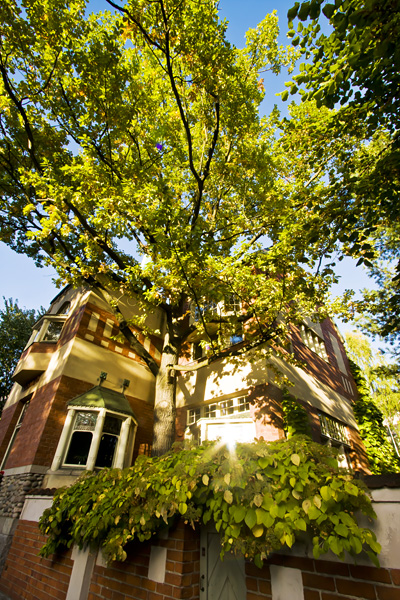 Villa Johanna