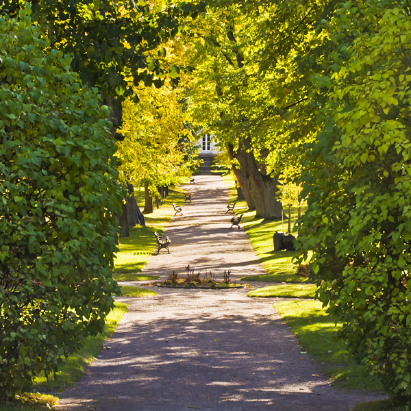 A tree alley in Herttoniemi manor park