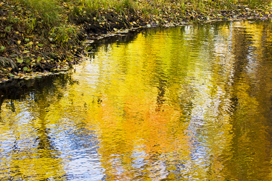 Autumn colors reflect from the surface of a pond