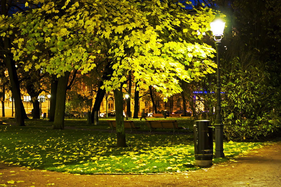 Vanha kirkkopuisto pimell I