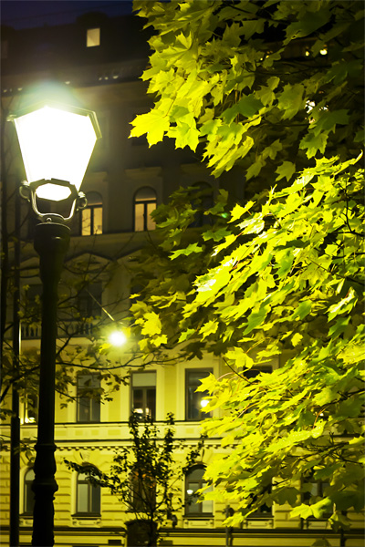 Old church park at dusk II