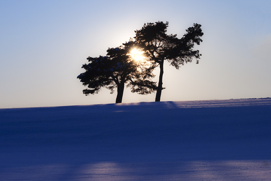 Winter glow