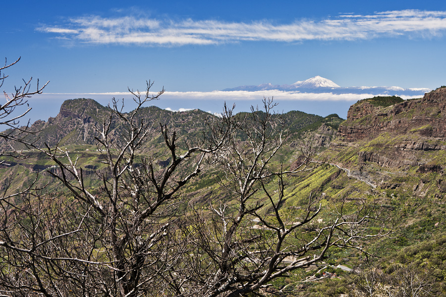 Teide in the horizon