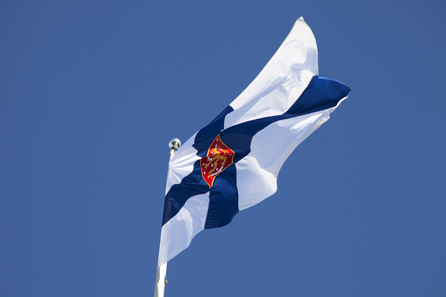 The Finnish state flag