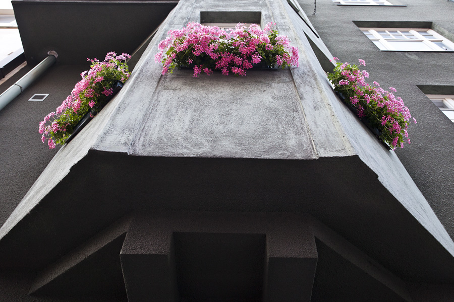 Flower boxes