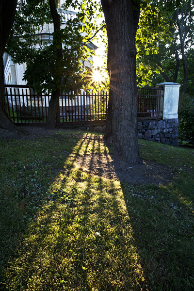 Rays of a sunset